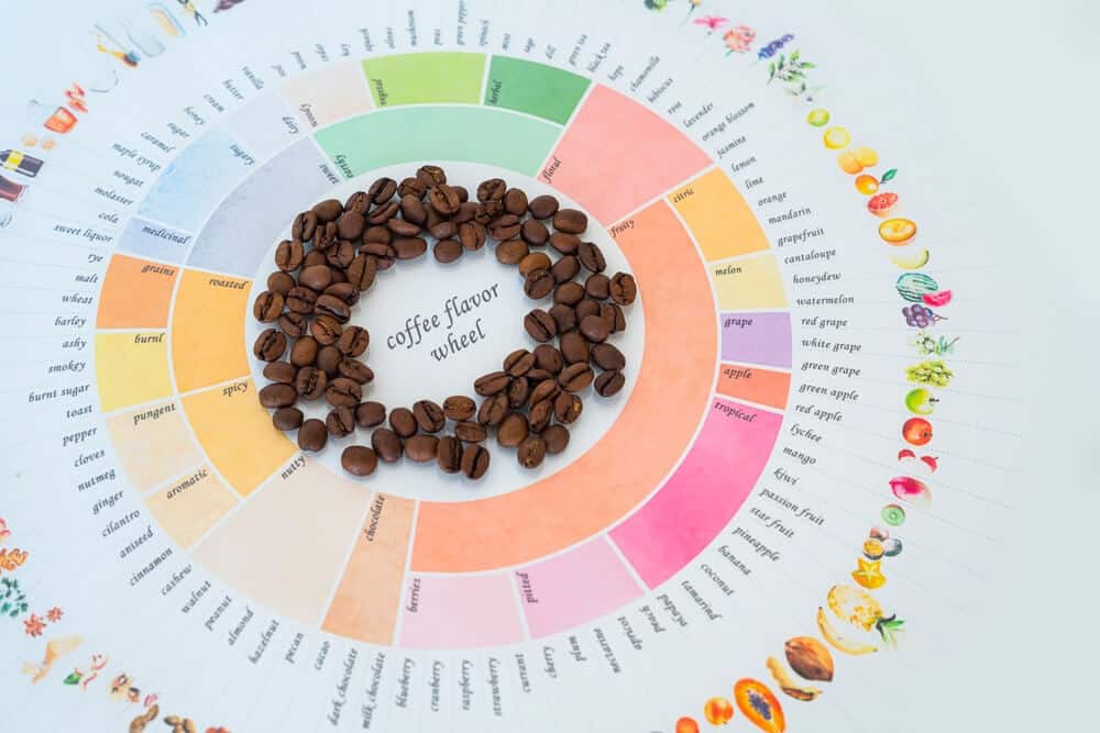Coffee flavor chart